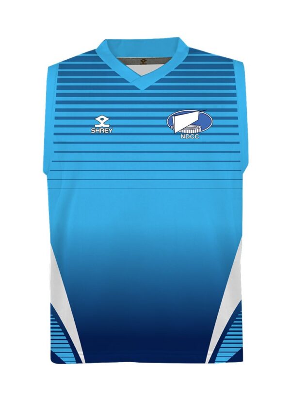 SHREY-ELITE-CUSTOMISED-PLAYING-SLIPOVER-726×1000-2.jpg