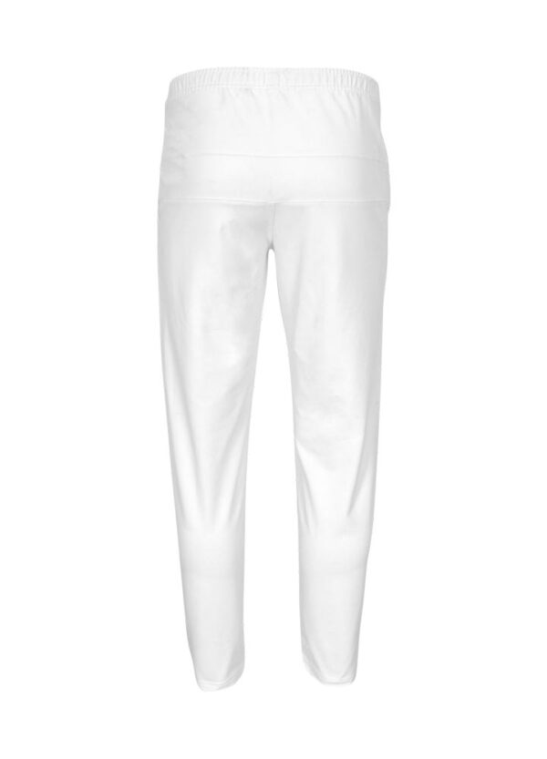 SHREY-ELITE-PLAYING-TROUSER-BACK.jpg