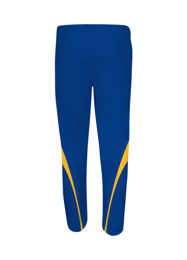 SHREY-PERFORMANCE-CUSTOMISED-PLAYING-TROUSER-back.jpg