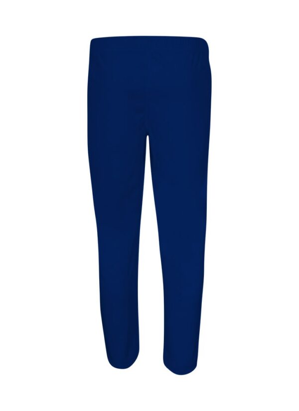 SHREY-PERFORMANCE-CUSTOMISED-PLAYING-TROUSER-back-726×1000-2.jpg